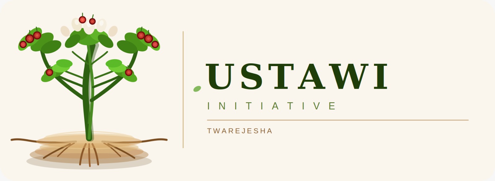 Ustawi Initiative